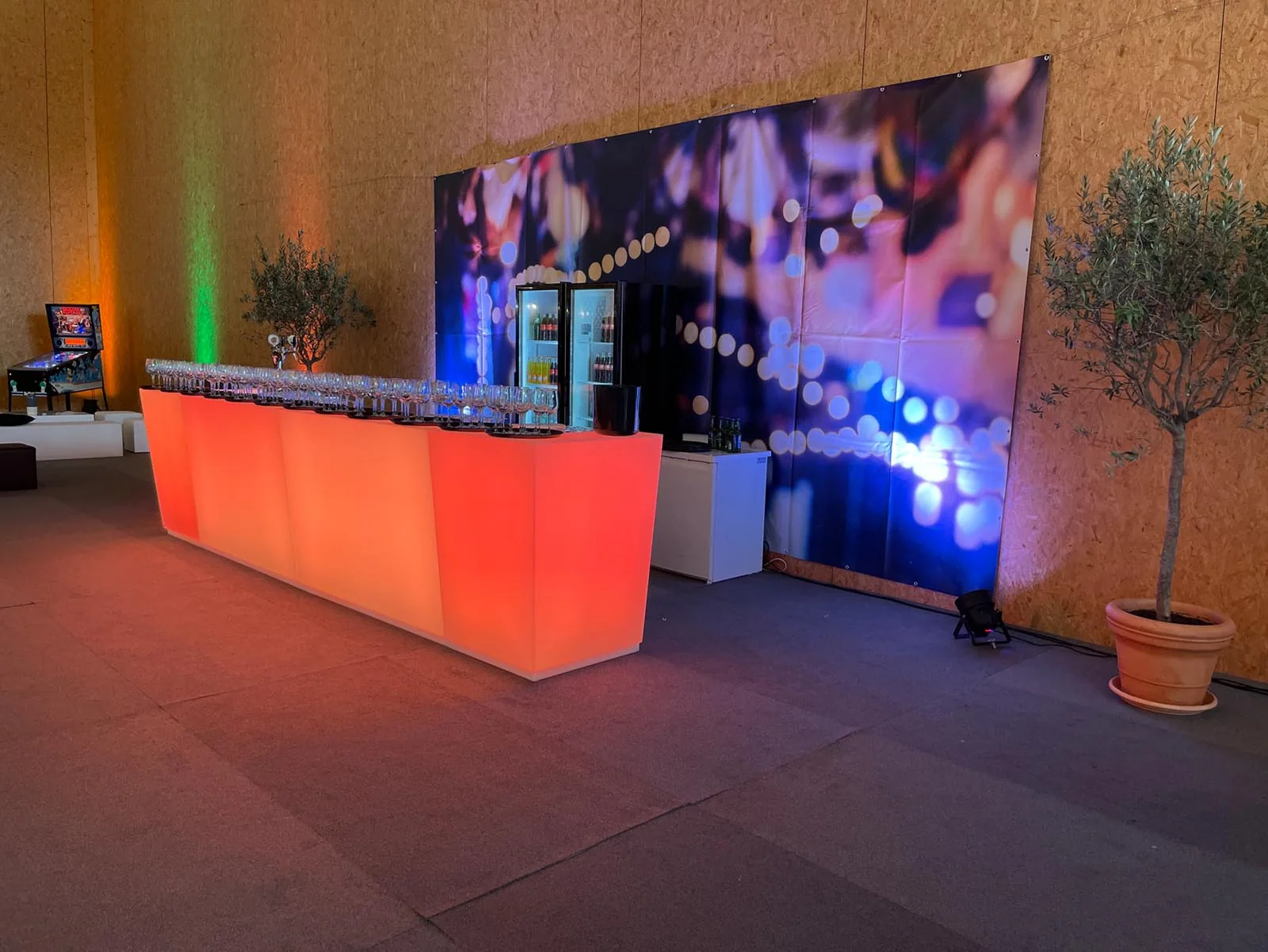 BASF Schweiz AG — BASF-Festival — Bild 11
