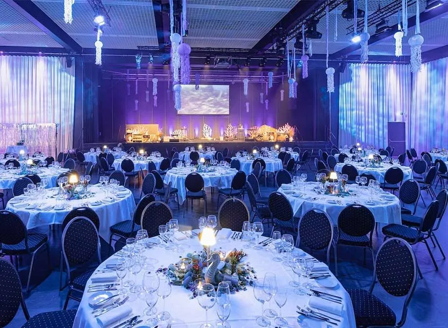Tillotts Pharma AG — Year End Party
